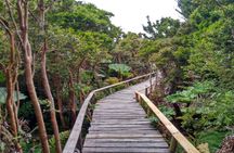 Chiloe National Park and Chonchi "Darwin Route"