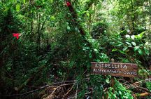 Chiloe National Park and Chonchi "Darwin Route"