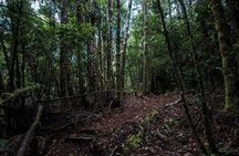 Chiloe National Park and Chonchi "Darwin Route"