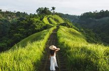 Design-Your-Own Tour: Private Customized Bali Tour
