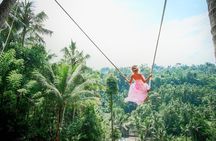 Bali Highlights : Nature, Waterfall, Rice Terraces and Volcano