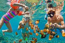  Blue Lagoon Snorkeling - Cave Waterfall - And More - All Included + FREE Wi-Fi
