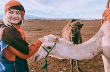  Marrakech: Atlas Mountains and Three Valleys Day Trip