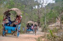 Sigiriya Rock and Village Tour from Habarana