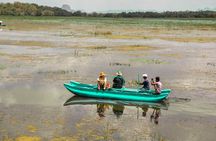 Sigiriya Rock and Village Tour from Habarana