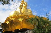 Full day Dalat cultural tour