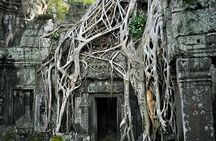Guided Private A/C Vehicle Tour to Angkor Wat and Small Circle with Two Extras