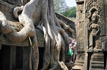 Guided Private Tuk Tuk Tour Angkor Wat and Small Circle and Five Extras