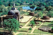 Polonnaruwa Ancient Kingdom and Wild Elephant Safari from Sigiriya