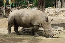 Private Transfer to Beijing Wildlife Park with Self-driving Ride Inside