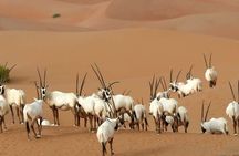 Dubai Private Sunset Desert Drive with Wildlife Experience