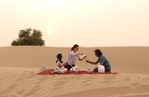 Private 4x4 Morning Desert Drive with Wildlife Experience & Sandboarding