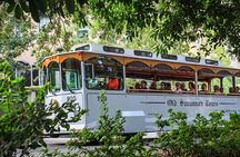 Narrated Historic Savannah Sightseeing Trolley Tour