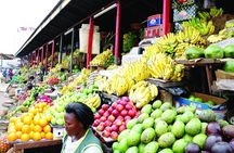 Kampala Half-Day Walking Tour with Local Female Guides
