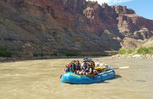 Full-Day Colorado River Rafting Tour at Fisher Towers