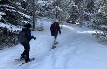 Snowshoeing Adventure in the Rocky Mountains Close to Denver