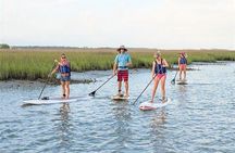 2-Hour Charleston Stand-Up Paddleboard Rentals