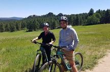 Guided Mountain-Biking Tour of Colorado's Front Range