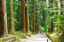 Hiraizumi Full-Day Private Trip with Government-Licensed Guide
