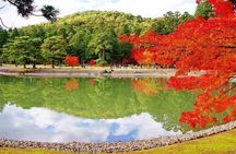 Hiraizumi Full-Day Private Trip with Government-Licensed Guide