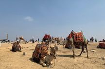 Full-Day Private Tour to Pyramids of Giza and Egyptian Museum