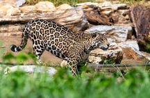 Private Transfer to Beijing Wildlife Park with Self-driving Ride Inside