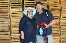 Discover Valpolicella Vineyards and Wine Tasting Experience