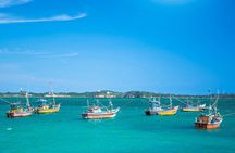 Lagoon Fishing from Negombo