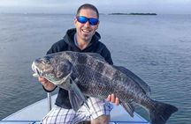 Lagoon Fishing from Negombo