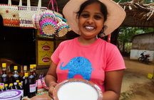 Curd Processing Experience from Tissamaharama