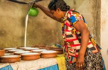 Curd Processing Experience from Tissamaharama