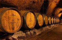 Private Wine Tasting Day Tour from Beirut