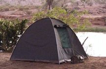 7-Day Private Camping Safari Tour in Kenya with Meals