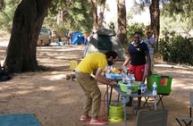 7-Day Private Camping Safari Tour in Kenya with Meals