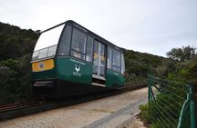Peninsula Tour