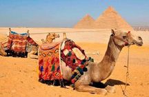 8 Days,Cairo,Alexandria,Aswan,Luxor,Cruise, Abu Simbel,From Cairo By Plane