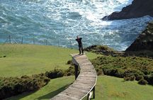 Dock of Souls Trekking in Chiloe Private Tour