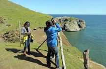 Dock of Souls Trekking in Chiloe Private Tour