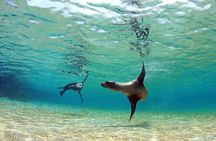 4 days Galapagos Essential Budget Tour