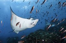 4 days Galapagos Essential Budget Tour