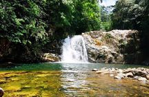 Sinharaja Rain Forest Tour from Tangalle