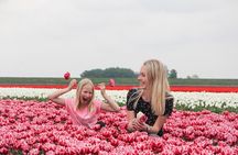 Keukenhof & Zaanse Schans (Best of Holland with windmill) Guided Tour with local