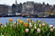 Keukenhof & Zaanse Schans (Best of Holland with windmill) Guided Tour with local