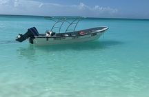 Private Boat Nature Tour of Saona Island