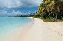 Private Boat Nature Tour of Saona Island