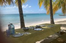 Private Boat Nature Tour of Saona Island