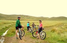Chucuito Bike Tour from Puno