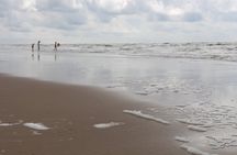 Enjoy a day on the beach Zandvoort near Amsterdam with a local on a Private Tour