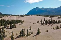 Yukon Gold Experience feat. Emerald Lake & Carcross