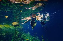 Awesome Adventure at Xenotes Park! From Playa Del Carmen & Cancun